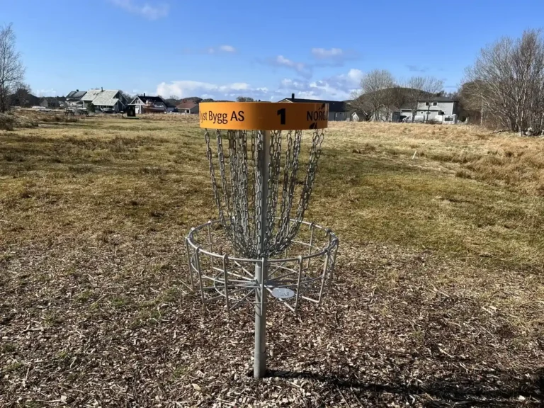 Discgolf-bane